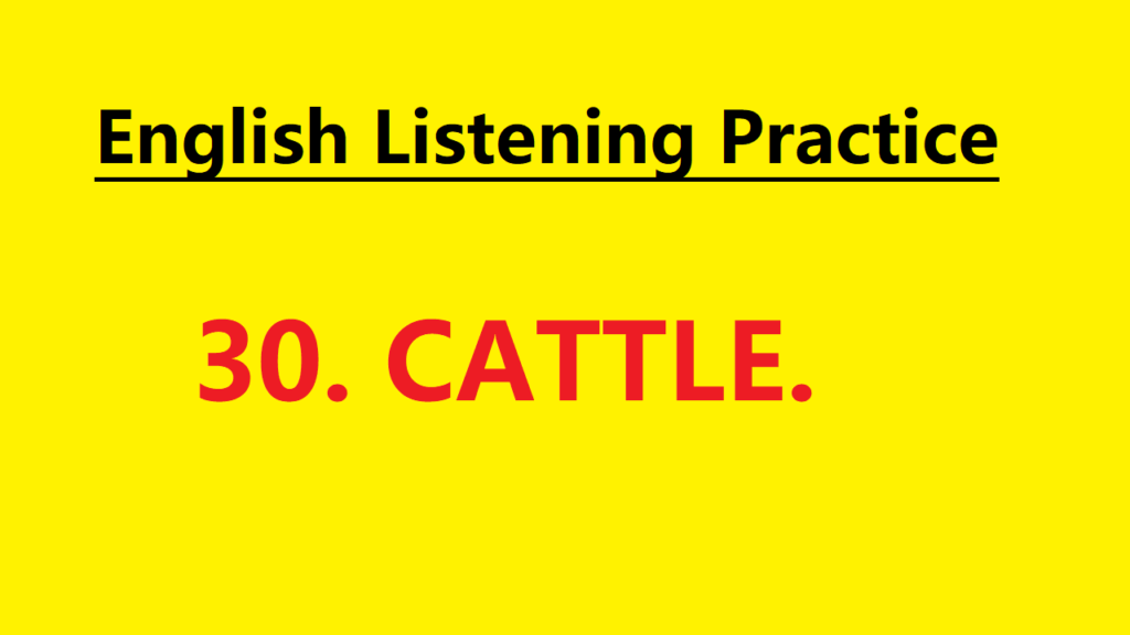 Learn English through Story - Cattle - Level 1