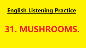 Learn English through Story - Mushrooms - Level 1