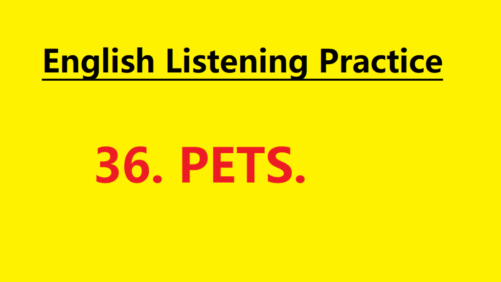 Learn English through Story - Pets - Level 1