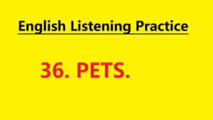 Learn English through Story - Pets - Level 1