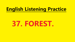 Learn English through Story - Forests - Level 1