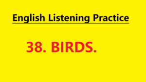 Learn English through Story - Birds - Level 1